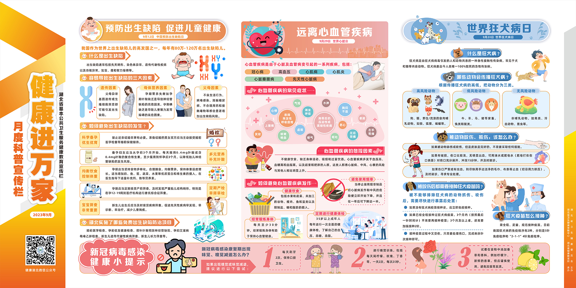 健康进万家科普宣传栏2023年9月.jpg